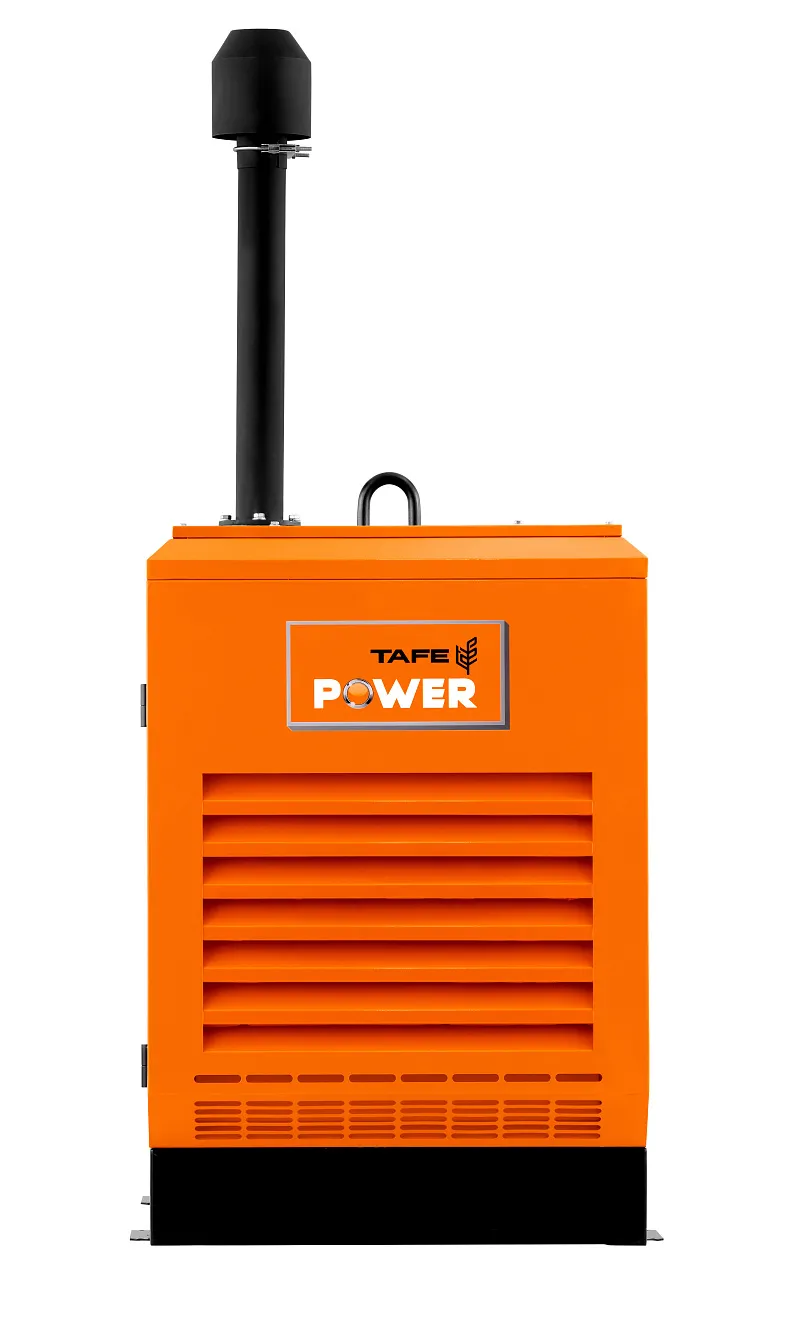 Дизельный генератор TAFE Power TAF-P-45W